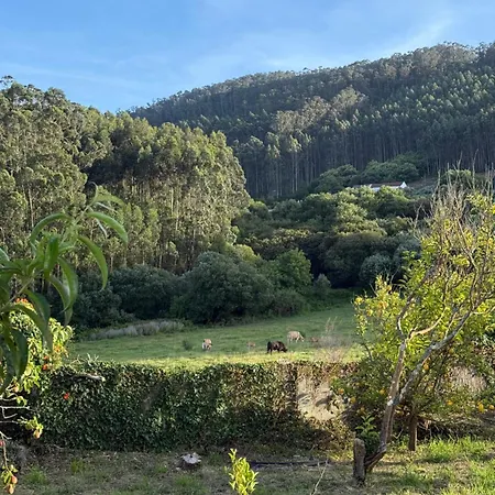 Casa Os Pequenos De Pantin Casa vacanze Valdoviño